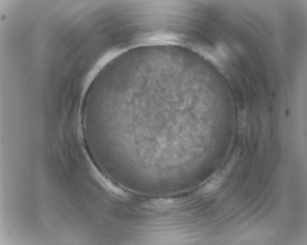 X0000070411470200606091139