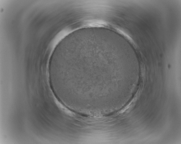 X0000070411471200606091139