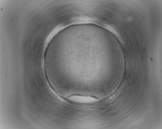 X0000070411472200606091139