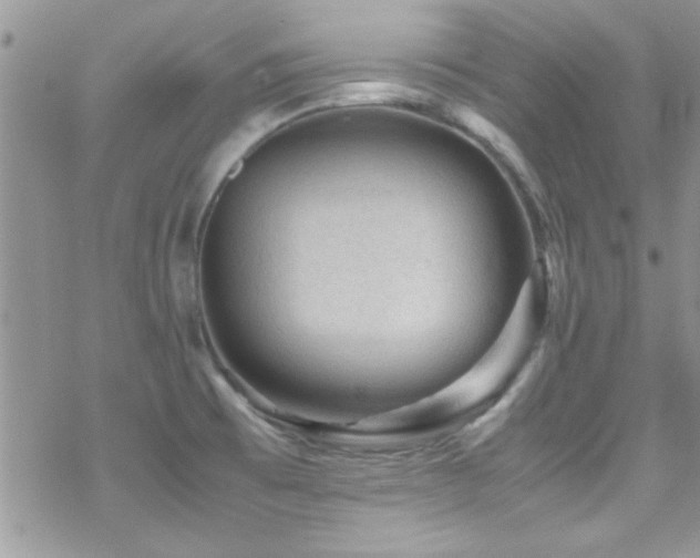 X0000070411473200606091139