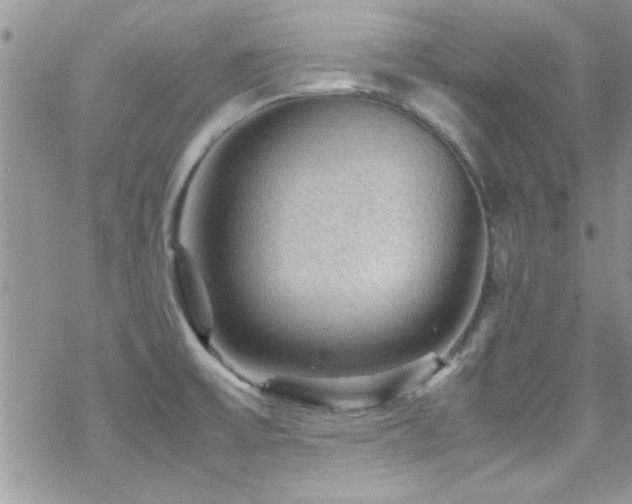 X0000070411475200606091139