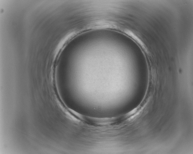 X0000070411477200606091139