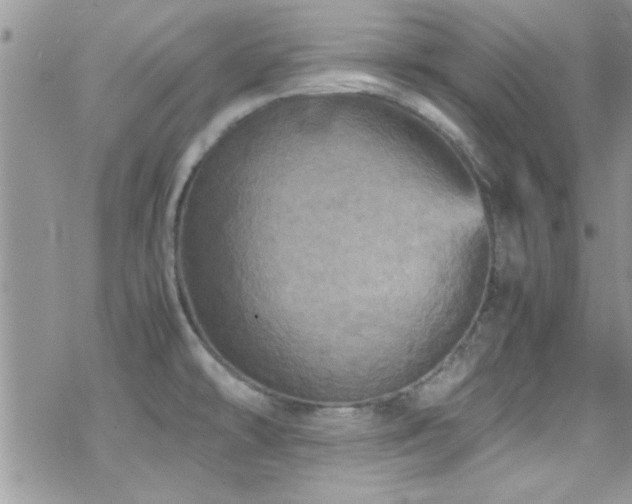 X0000070411478200606091139