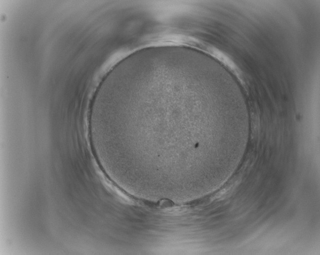 X0000070411480200606091139