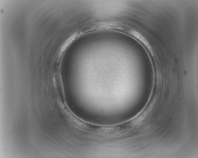 X0000070411481200606091139