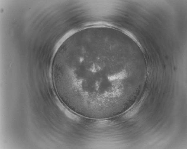 X0000070411482200606091139