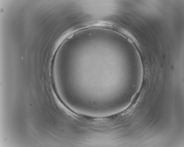 X0000070411483200606091139