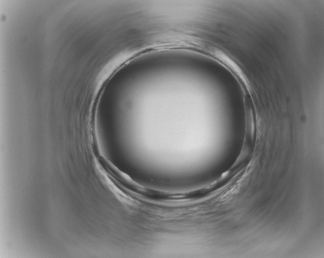 X0000070411485200606091138