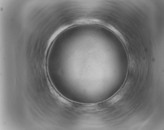 X0000070411486200606091138