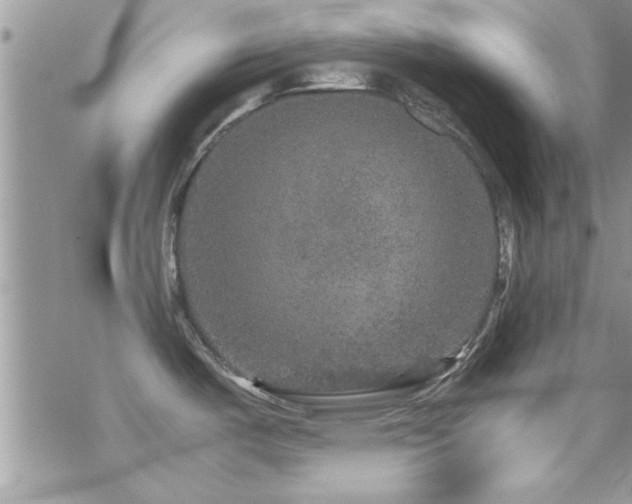 X0000070411487200606091138