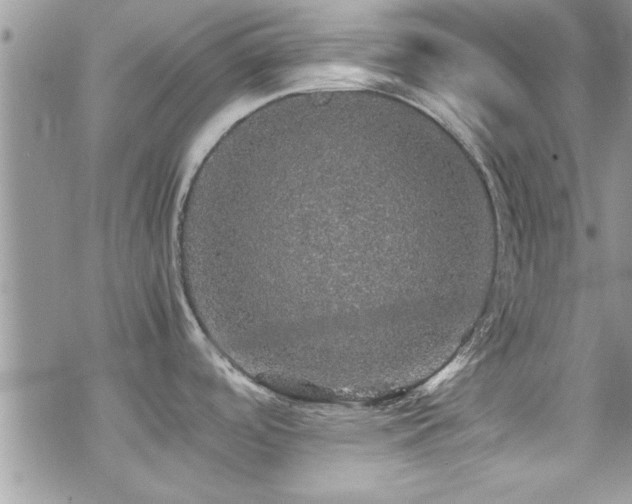 X0000070411488200606091138