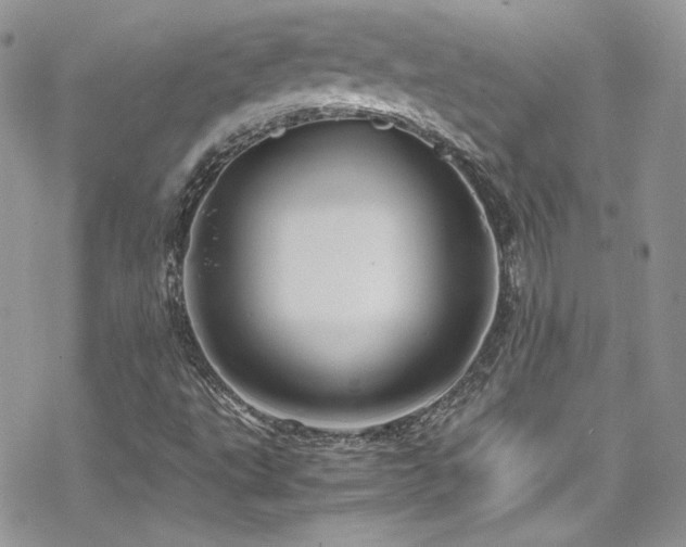 X0000070411495200606091138