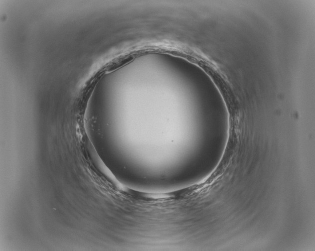 X0000070411496200606091138