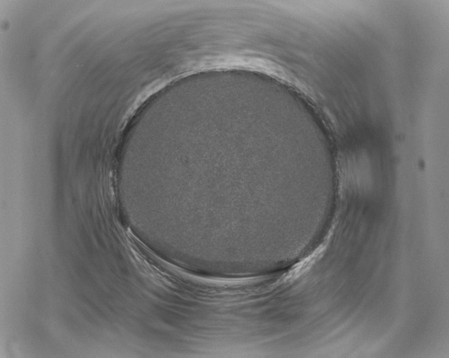 X0000070411497200606091138