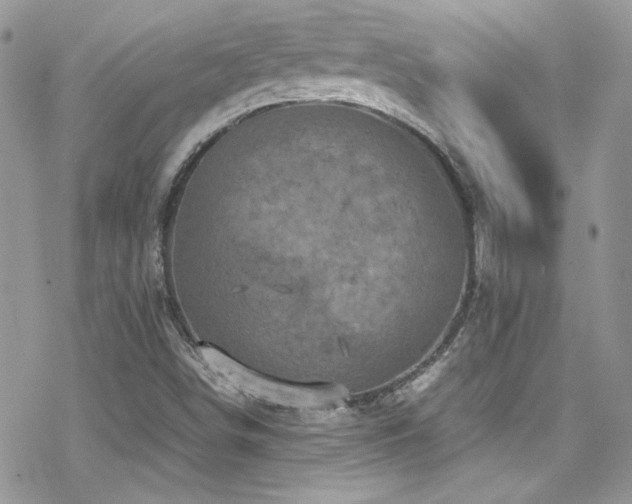 X0000070411498200606091138