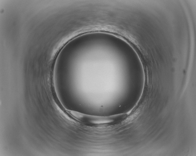 X0000070411500200606091138