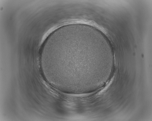 X0000070411501200606091138