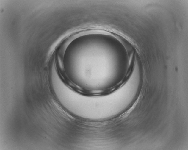 X0000070411502200606091138