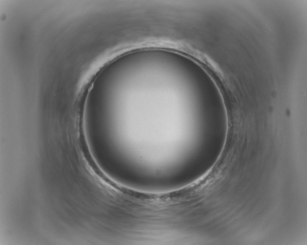 X0000070411504200606091138