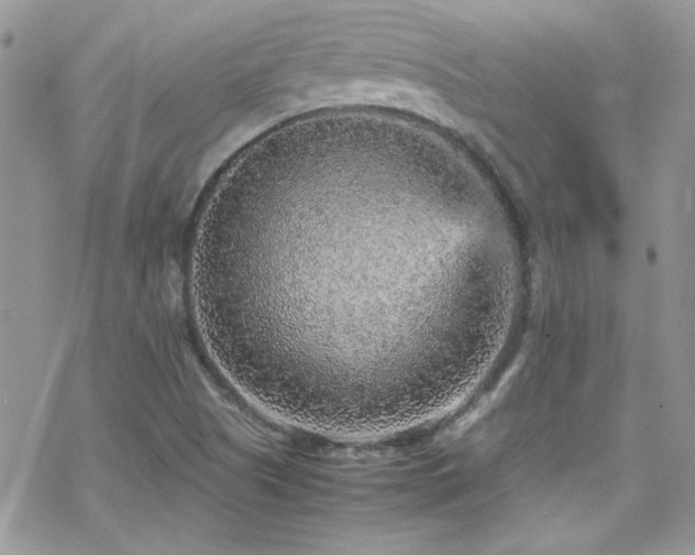 X0000070411505200606091138