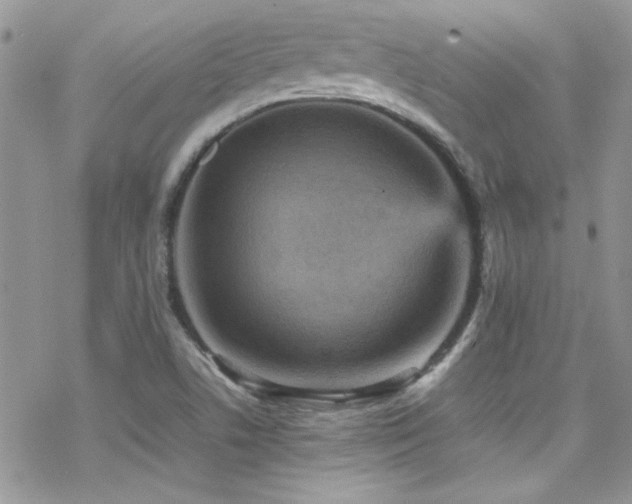 X0000070411506200606091138