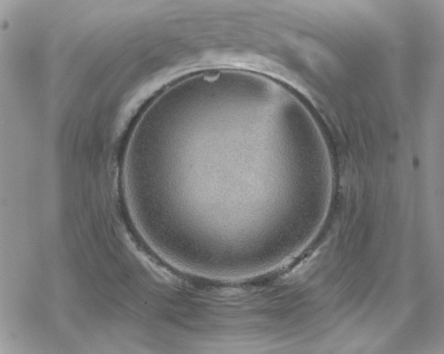 X0000070411507200606091138