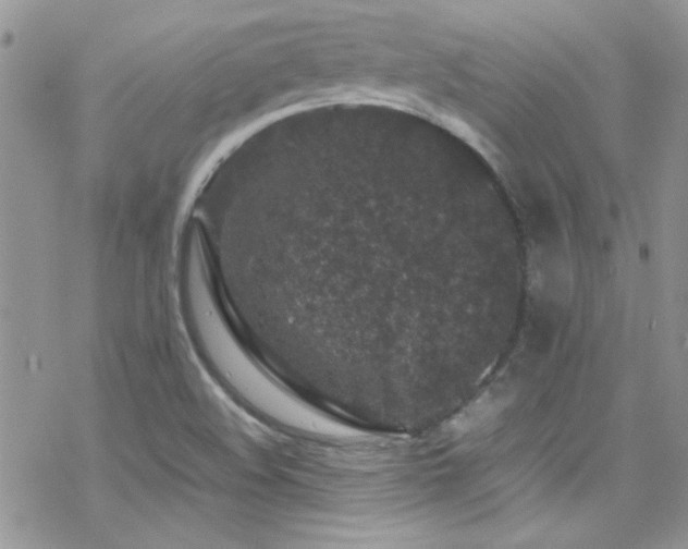 X0000070411508200606091138