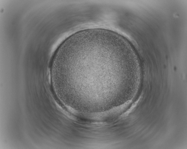 X0000070411509200606091138