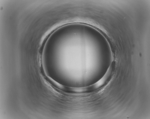 X0000070411510200606091138