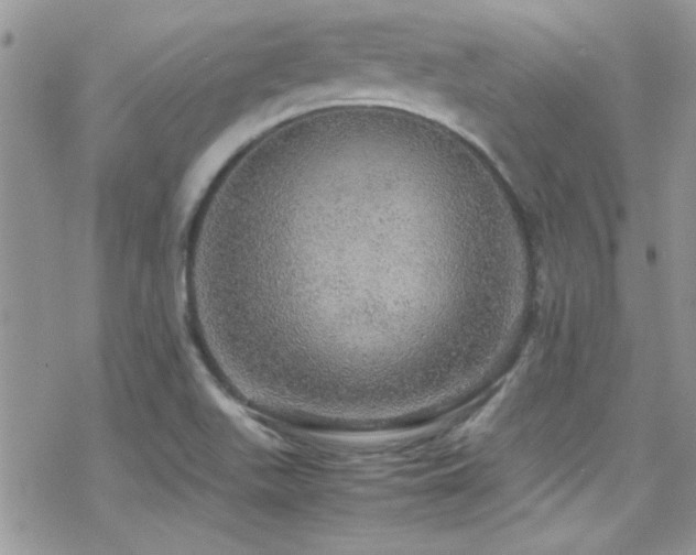 X0000070411511200606091138