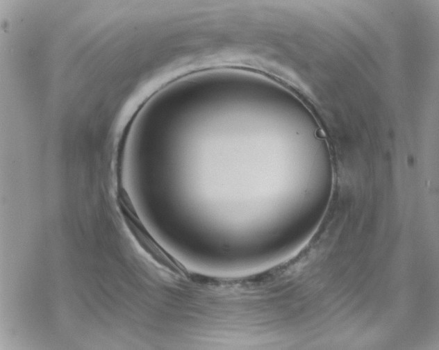 X0000070411512200606091138