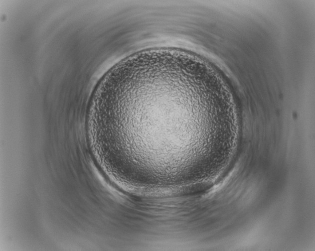 X0000070411513200606091138