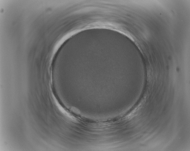 X0000070411515200606091138