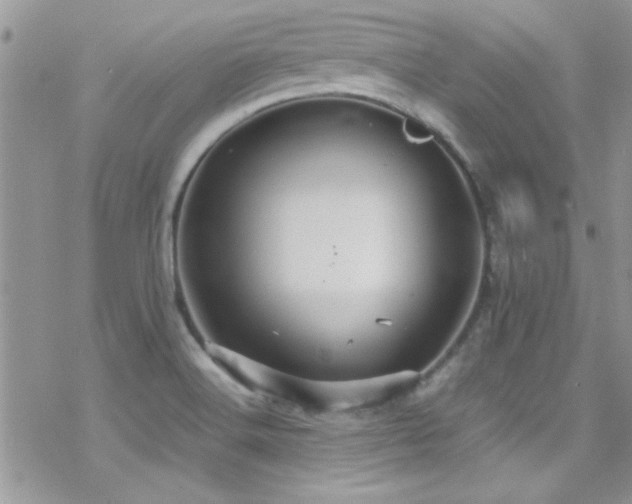 X0000070411516200606091138