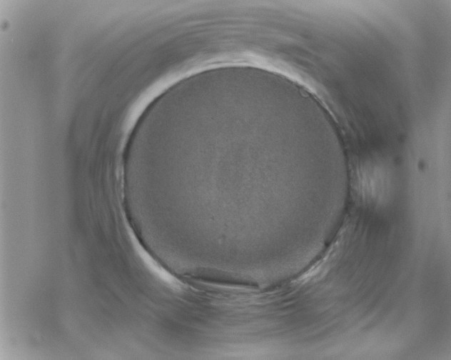 X0000070411519200606091138