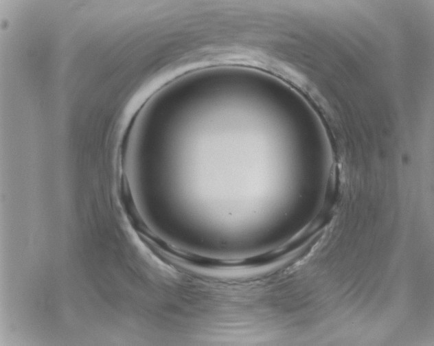 X0000070411520200606091138