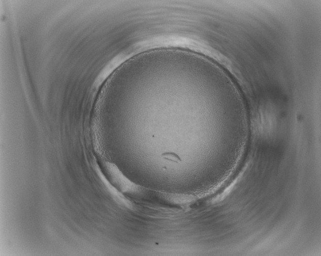 X0000070411521200606091138