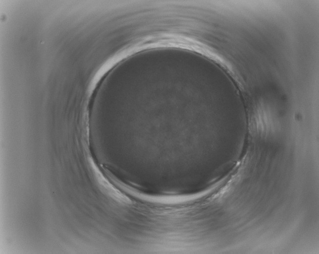 X0000070411522200606091138