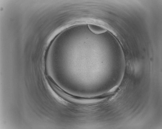 X0000070411523200606091138