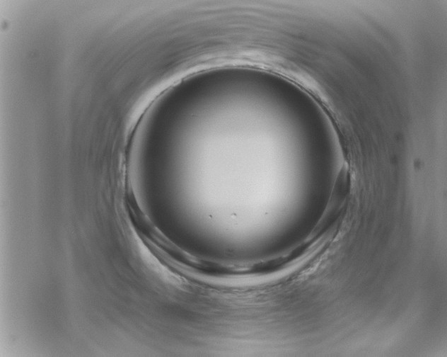 X0000070411524200606091138