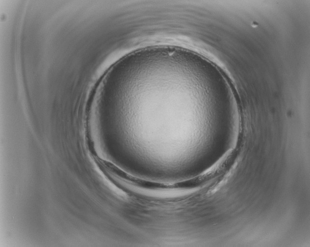 X0000070411525200606091138