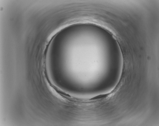 X0000070411526200606091138