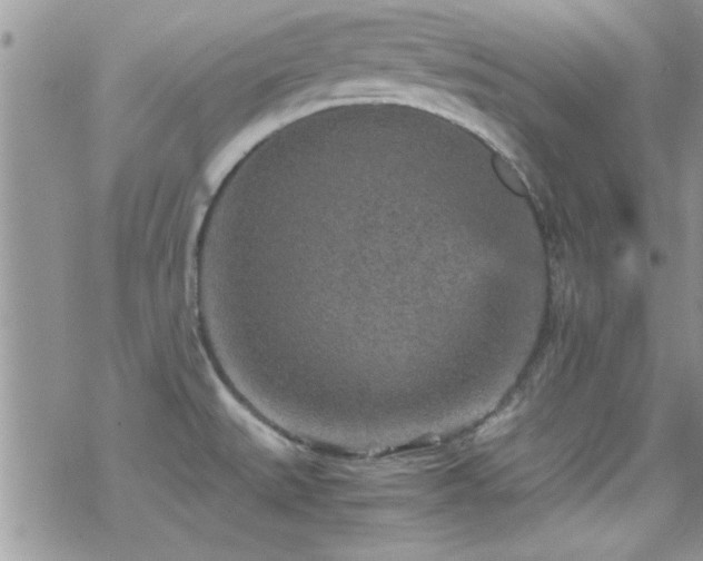 X0000070411527200606091138