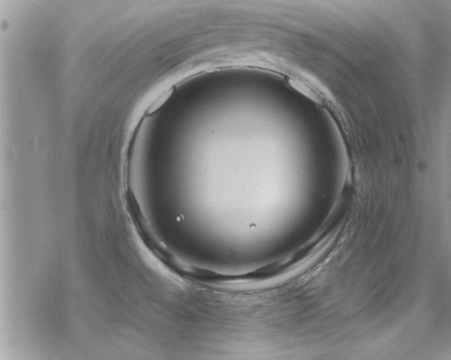 X0000070411528200606091138