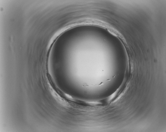 X0000070411530200606091138