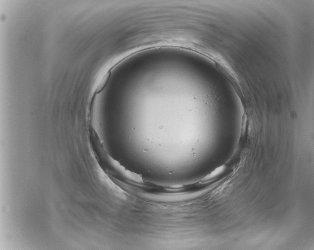 X0000070411532200606091138