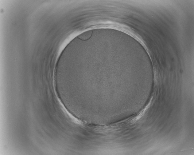 X0000070411533200606091138