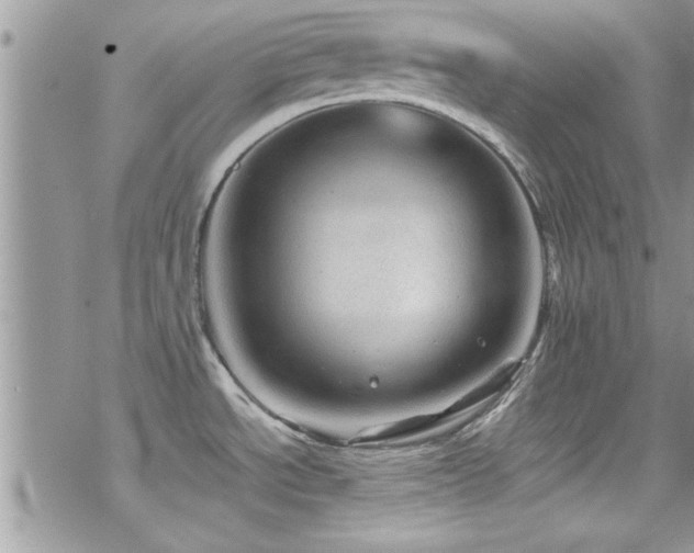 X0000070411534200606091138