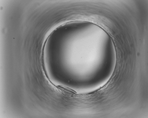 X0000070411536200606091138