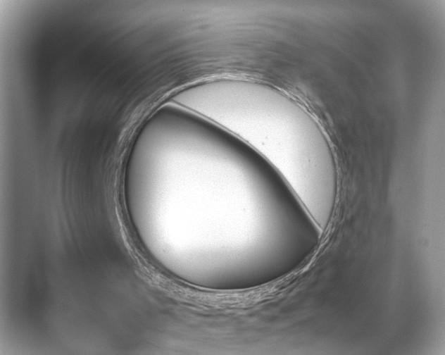 X0000070410001200606121342